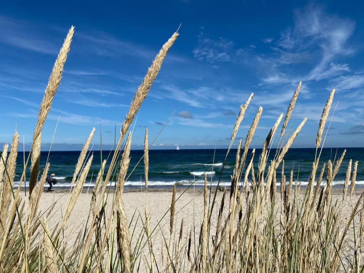 Ostseehaus Am Naturstrand - Ostseeblick Hébergement de vacances