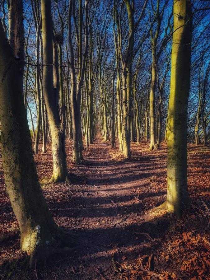 Ostseehaus Am Naturstrand - Ostseeblick Varnkevitz
